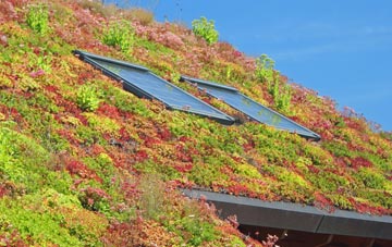 Denmead living roof systems